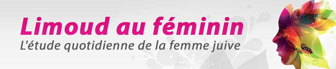 Limoud au féminin