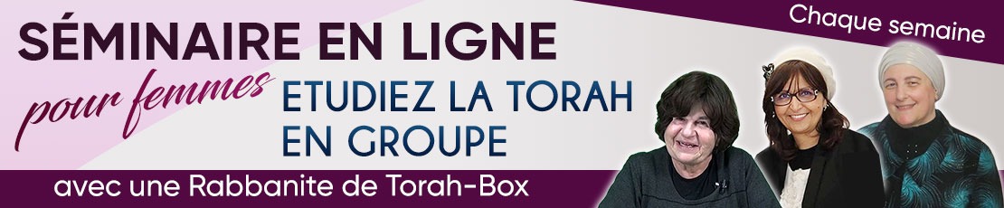 Séminaire en Ligne - étudiez la Torah chaque semaine en groupe avec une Rabbanite de Torah-Box