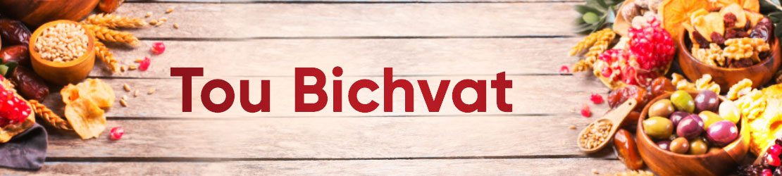 Tou Bichvat