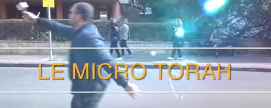 Micro-Torah